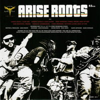Image 3 of ARISE ROOTS - Crisis 7"