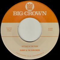 Image 1 of SUNNY & THE SUNLINERS – I Can Remember 7"