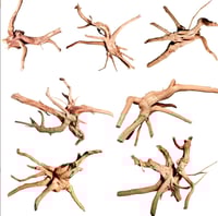 Image 1 of Spider Wood 