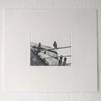 Image 2 of Look at what's going on over there