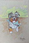 Custom Pet Portrait 