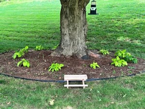 Image of Chicken Picnic Table 