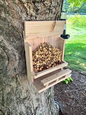 Image of Squirrel or Bird Feeder