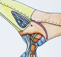 Image 1 of Original Art - Watercolor Mech Thalassodromeus Variant - Pen and Ink