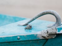 Image 2 of Serpent Ring 