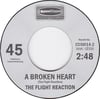 THE FLIGHT REACTION – Flying Colors 7"
