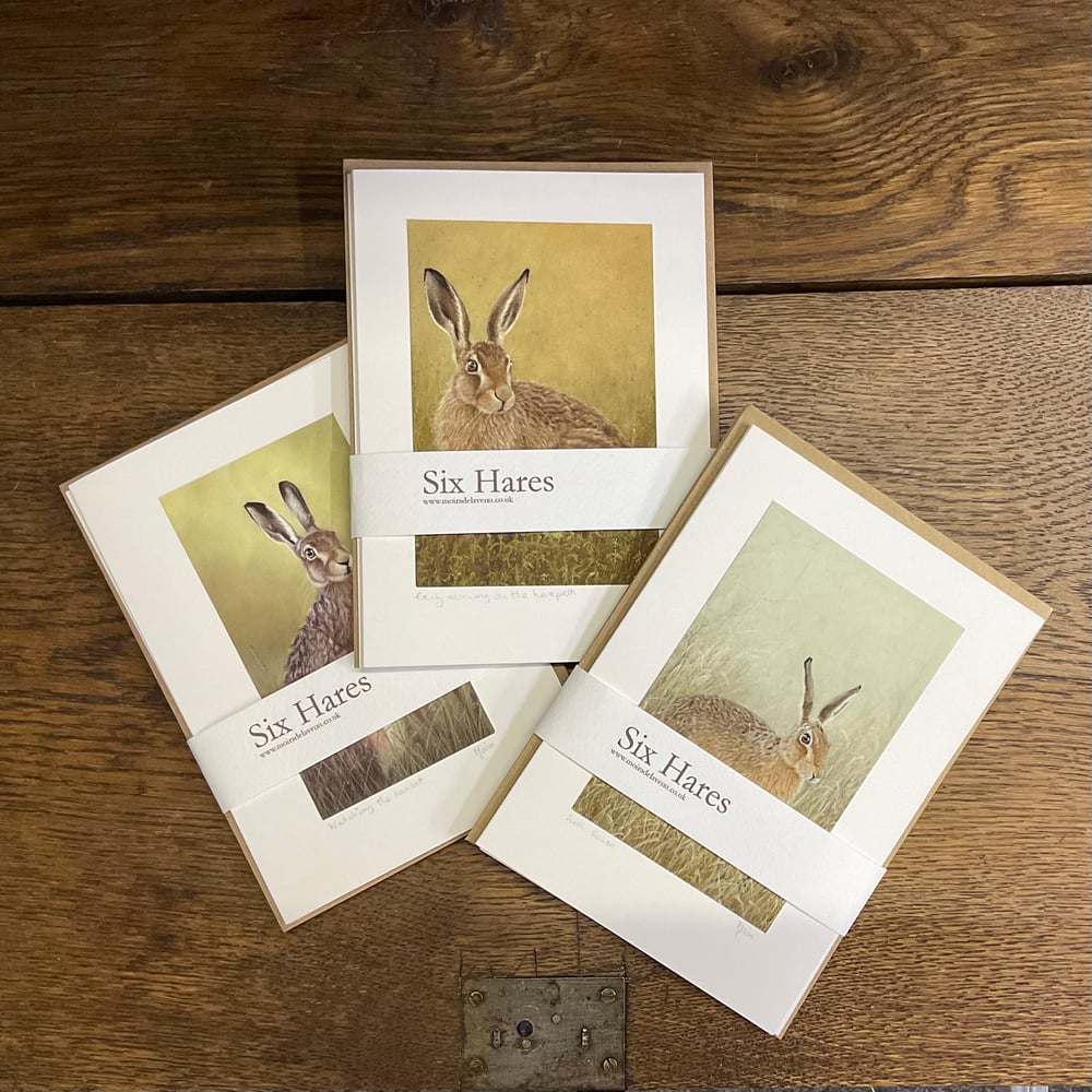 Image of Gift set of 6 individual hare cards.