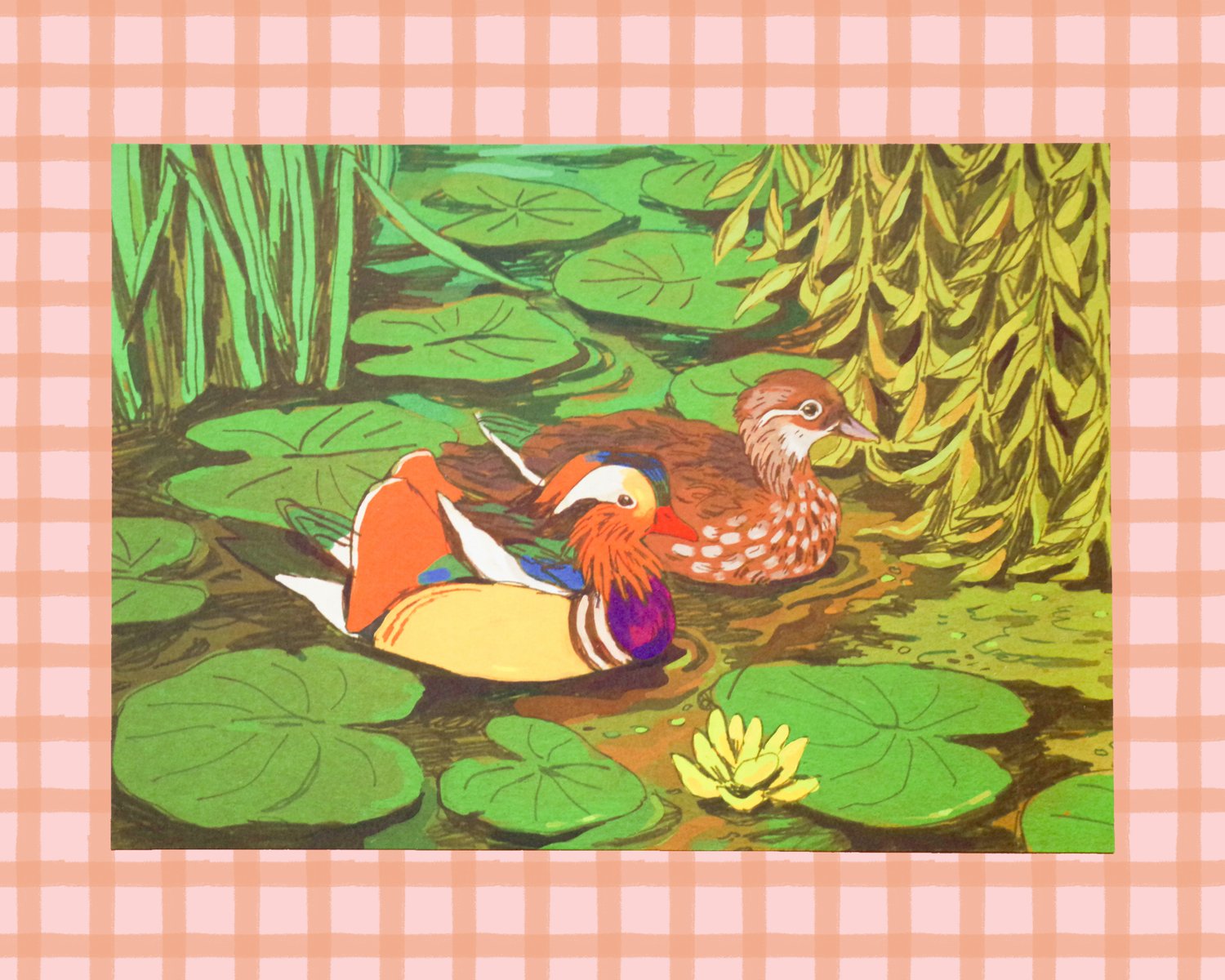Mandarin duck A5 print