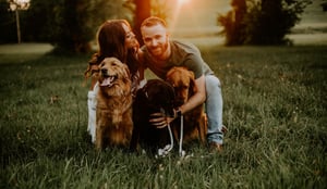 Image of Mini Session Package