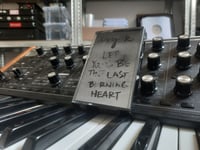 Image 1 of ivy z - let yours be the last burning heart
