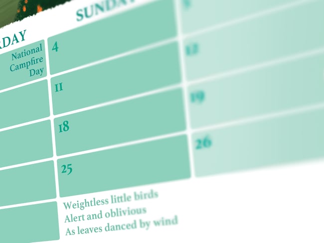 Calendar For Introverts 2025