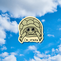 Crazy Tortoise Sticker