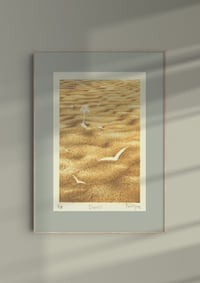 Image 2 of Dunes 1