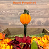 Pumpkin Plant Stakes