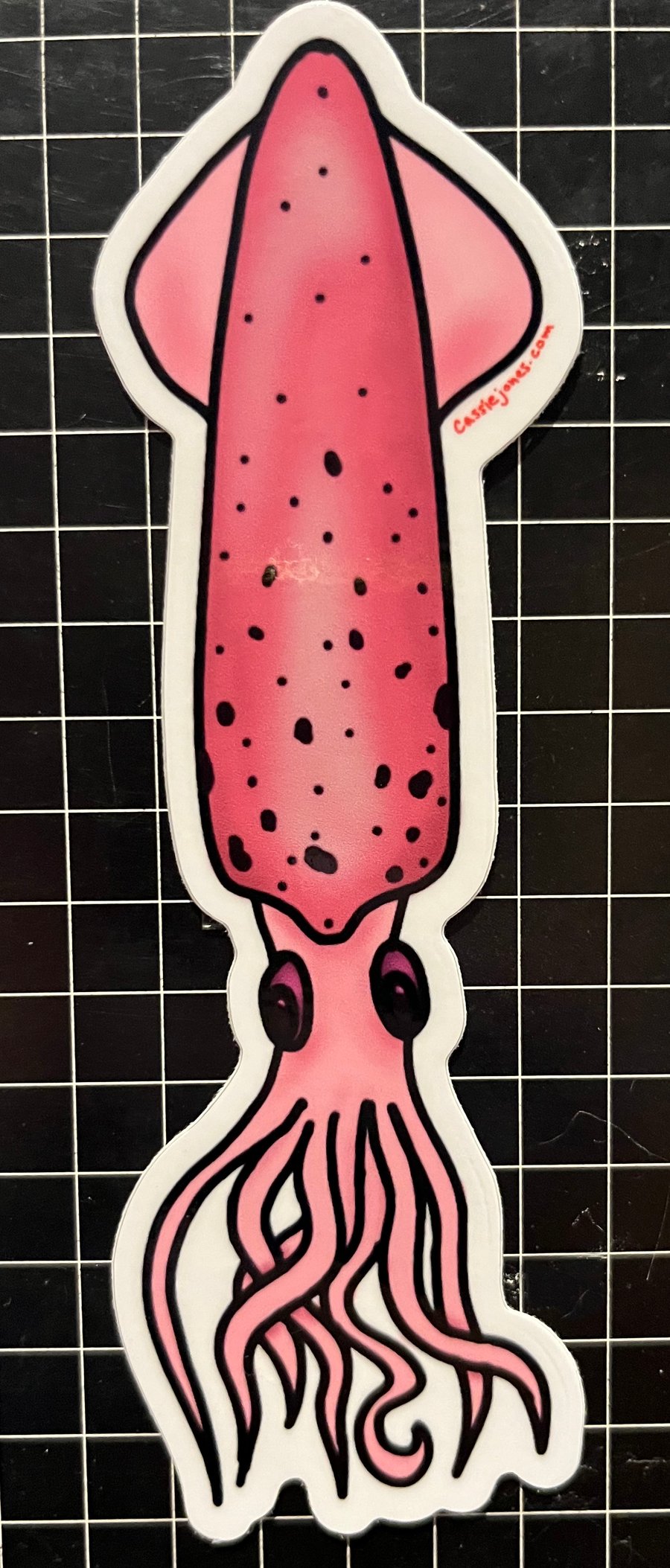 Image of Squid Sticker 