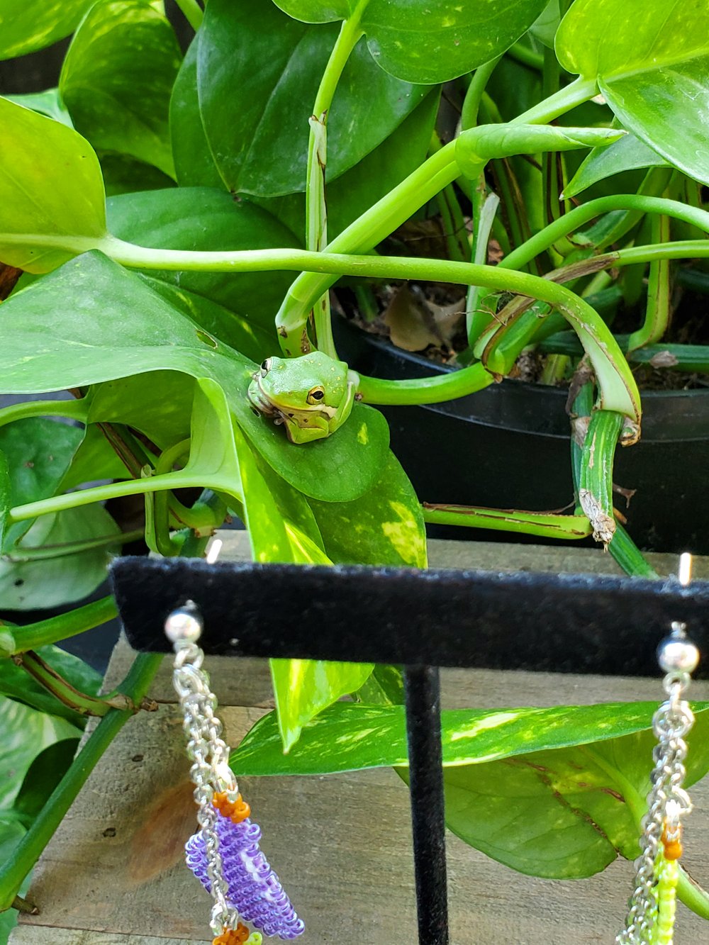 Image of Poison Bottle Three-Tier Beaded Earrings