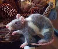 Image 1 of Custom 6" Needle felted pet rat