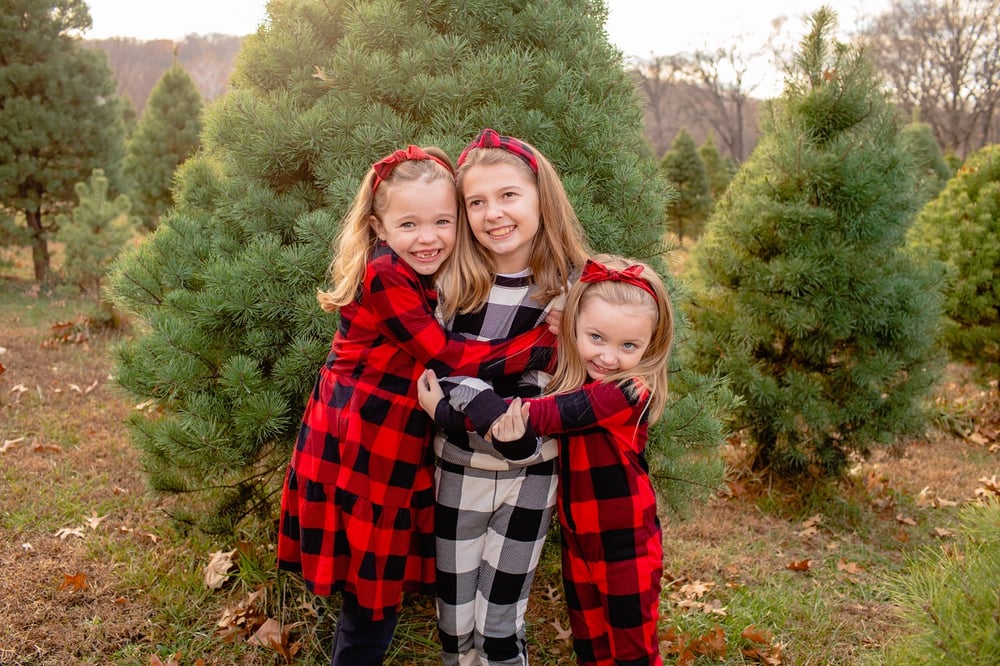Image of Christmas Tree Farm Mini Session