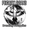 PEGWAY AVIANS 