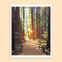 Image of Muir Woods - Letter
