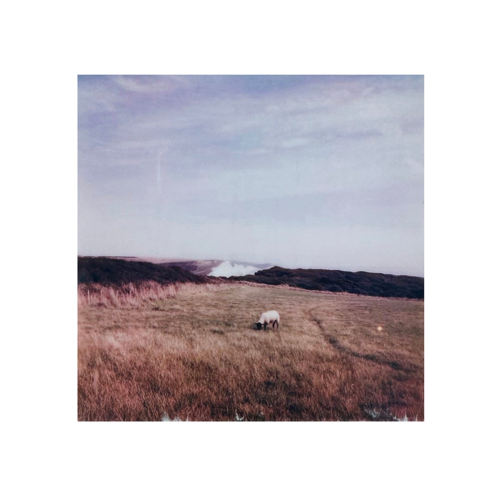 Image of Seven Sisters Cliff #1