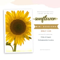 Sunflower Mini Session Images