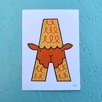 Image 2 of A-LPACA