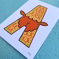 Image 5 of A-LPACA