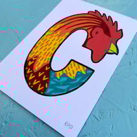 Image 5 of C-OCKEREL