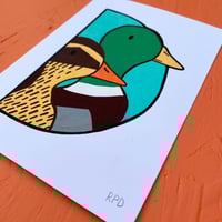 Image 5 of D-UCK