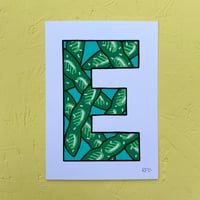 Image 2 of E-DAMAME