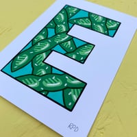 Image 5 of E-DAMAME