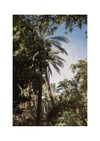 Urban Jungle