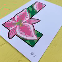 Image 5 of L-ILY