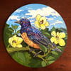 Hildebrandt's Starling - 8x8" inch