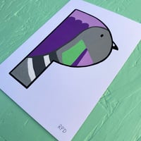 Image 5 of P-IGEON
