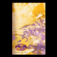Image 4 of The Shadow Flickers