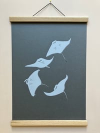 Image 2 of Manta Ray Print