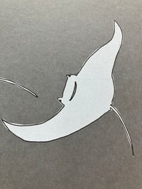 Image 5 of Manta Ray Print