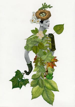 Image of Women of the Woods  - note cards