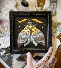 Image 2 of Golden Moth. Framed original art