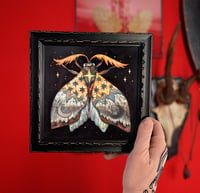 Image 1 of Golden Moth. Framed original art