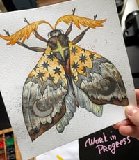 Image 4 of Golden Moth. Framed original art