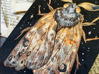 Image 2 of Golden Moth 3 . Framed Original art