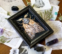 Image 1 of Golden Moth 3 . Framed Original art