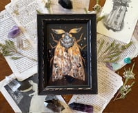 Image 5 of Golden Moth 3 . Framed Original art