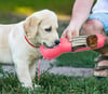 Portable 4 in 1 Leak-Poof Multipurpose Dog/Cat Water Bottle