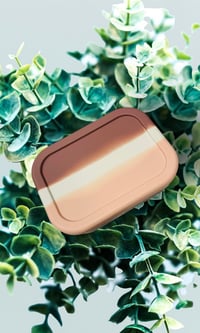 Image 2 of Silicone Bento 3 Lunchbox Autumn Splash