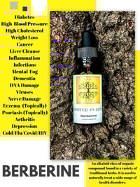 Image 5 of Wildcrafted Berberine Root extract