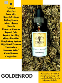 Image 3 of Goldenrod 